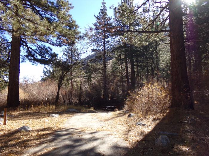 Big Pine Creek Campground Site #23 camping space and mountain views.Entrance, parking, and camping space for site #23