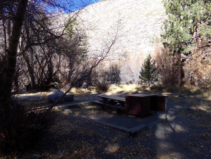 Big Pine Creek Campground Site #24 camping space and mountain views.Site #24 featuring pines and mountain views along with camping space with provided picnic table, bear resistant food container, and fire pit.