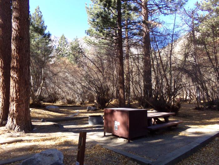 Big Pine Creek Campground Site #25 camping space and mountain views.Site #25 featuring picnic area with bear-resistant food container, fire pit, and camp space among the tall pines.