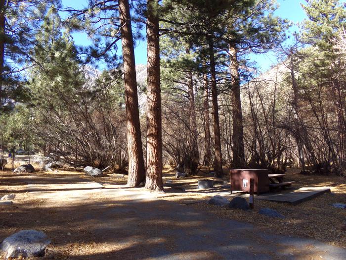 Entrance to site #25 and parking space at Big Pine Creek Campground.Site #25 camping area with views of provided parking space, picnic table, bear resistant food storage, and fire pit.
