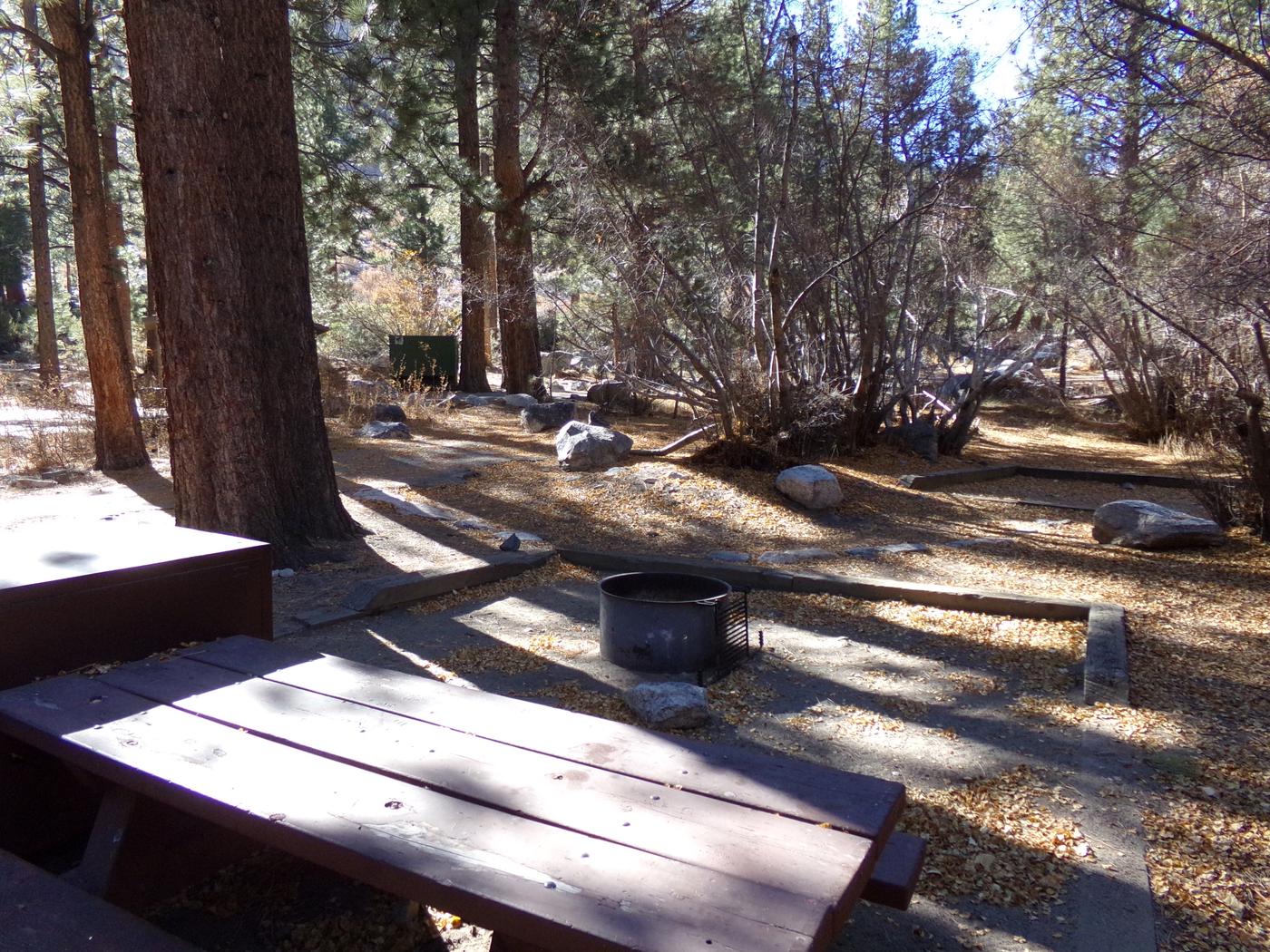 Site 025, Big Pine Creek Campground Recreation.gov