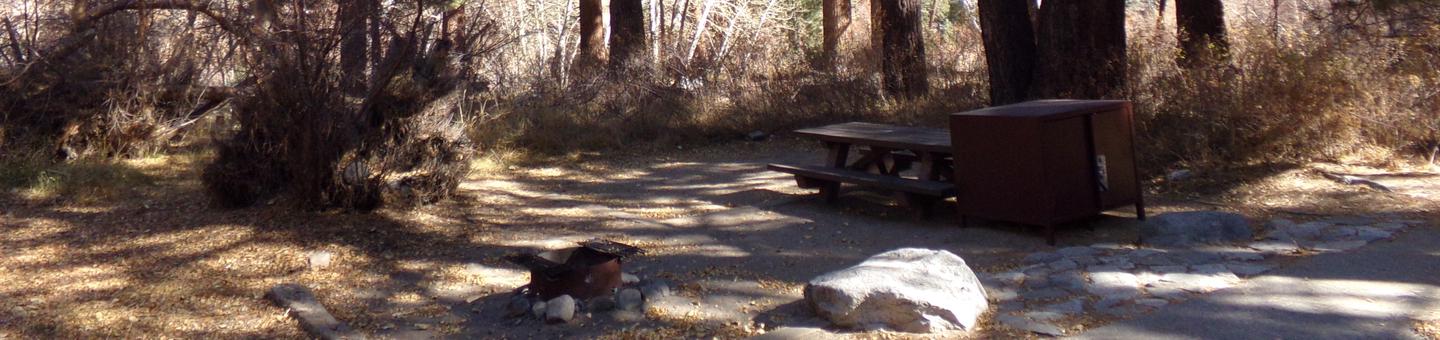 Big Pine Creek Campground Site #27 featuring picnic table, food storage, and fire pit.