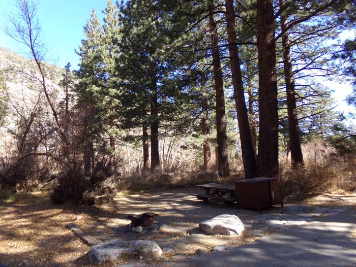 Big Pine Creek Campground Site #27 camping space and mountain views.Site #27 featuring picnic area with bear-resistant food container, fire pit, and camp space among the tall pines.

