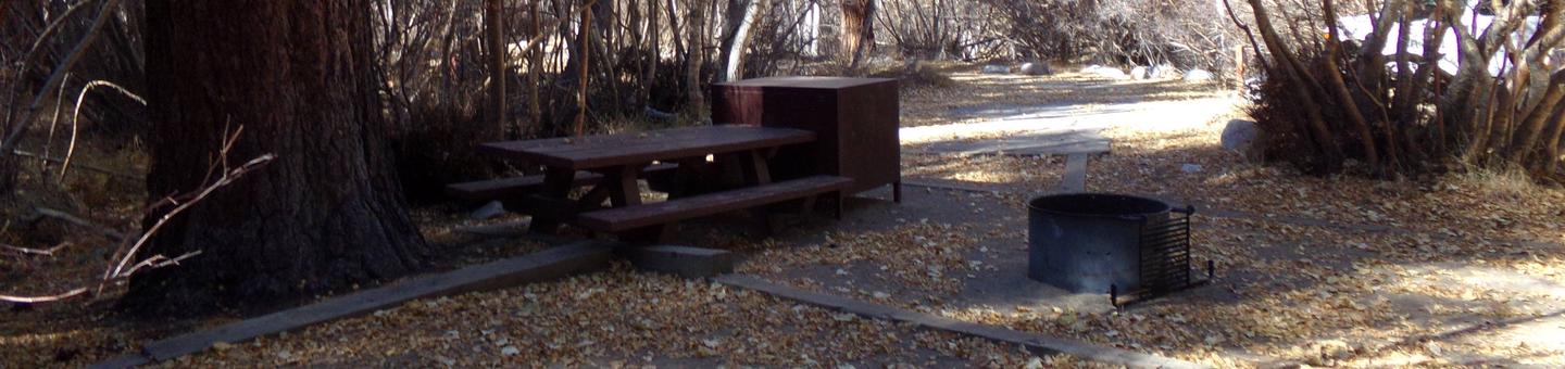 Big Pine Creek Campground Site #28 featuring picnic table, food storage, and fire pit.