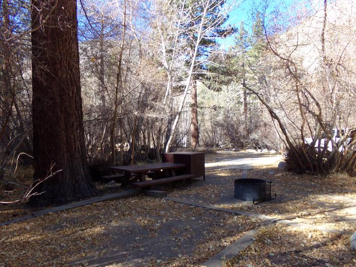 Big Pine Creek Campground Site #28 featuring picnic table, food storage, and fire pit.Site #28 featuring picnic area with bear-resistant food container, fire pit, and camp space among the tall pines.

