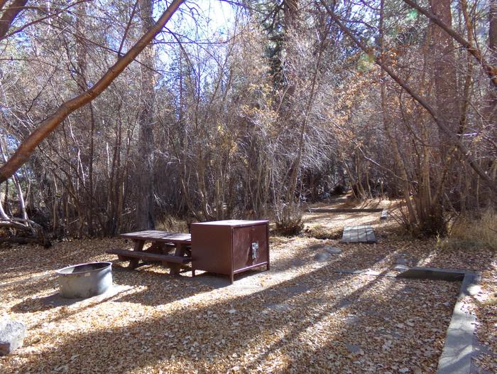 Big Pine Creek Campground Site #29 featuring picnic table, food storage, and fire pit.Site #29 featuring picnic area with bear-resistant food container, fire pit, and camp space among the tall pines.
