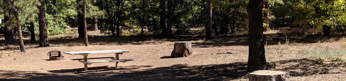Burnt Rancheria Campground Site #2 featuring picnic table and fire pit.