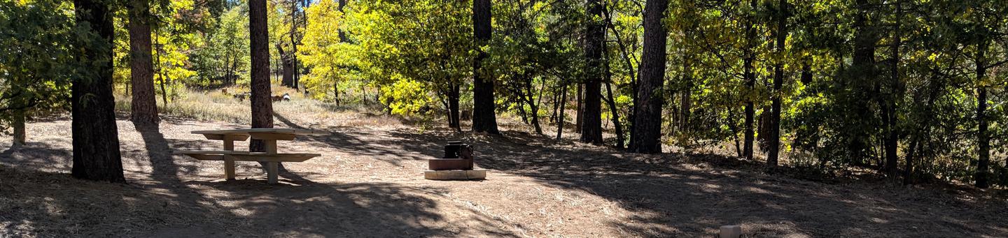 Burnt Rancheria Campground Site #5 featuring entrance to the wooded site and camping space.