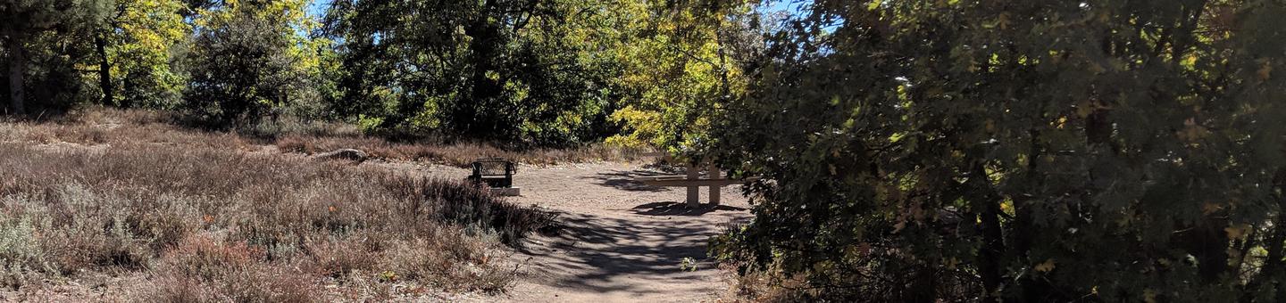 Burnt Rancheria Campground Site #51 featuring entrance to the wooded site and picnic table.