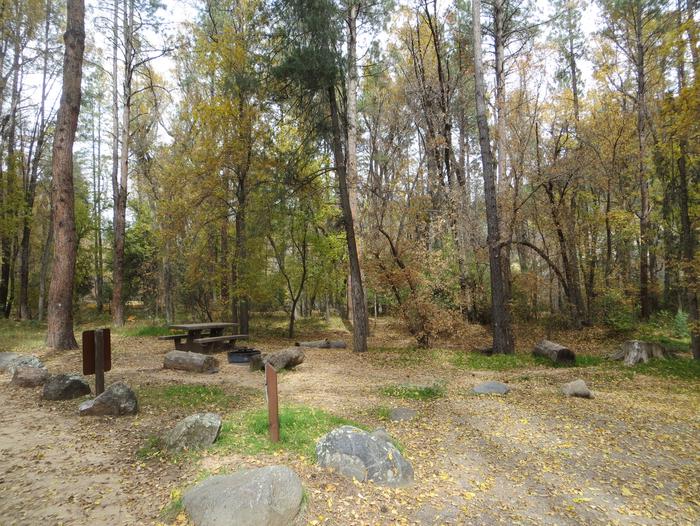 Cave Spring Campground Site #A01 featuring picnic table, food storage, and fire pit.