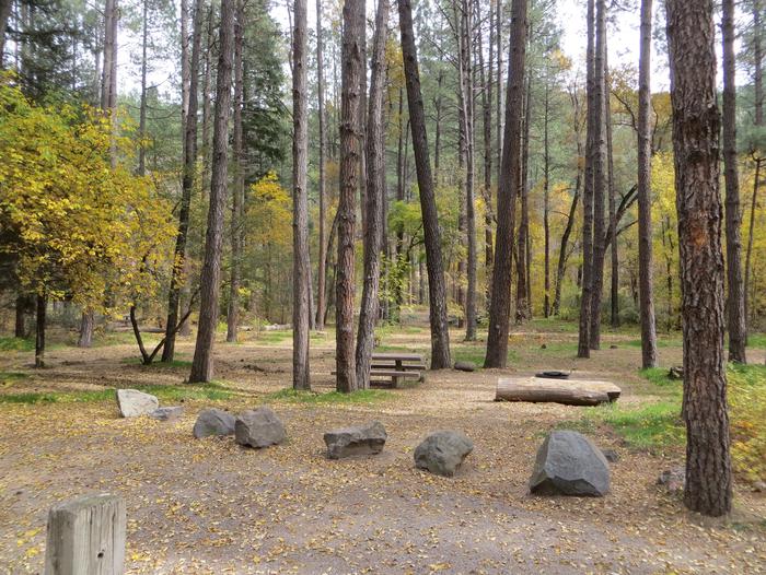 Cave Spring Campground Site #A02 featuring picnic table and fire pit among the trees.