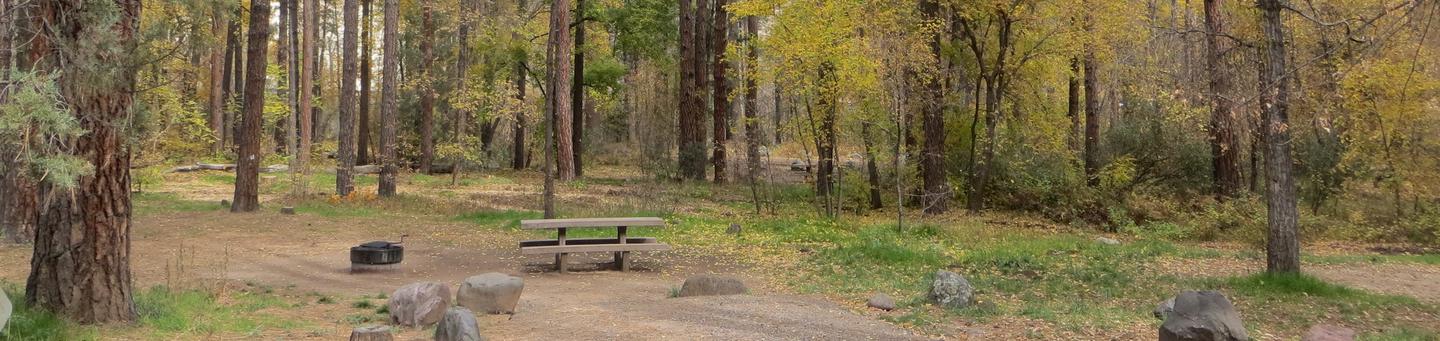 Cave Spring Campground Site #A03 featuring picnic table and fire pit among the trees.