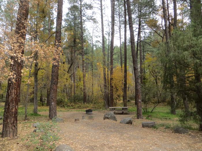 Cave Spring Campground Site #A04 featuring picnic table and fire pit among the trees.