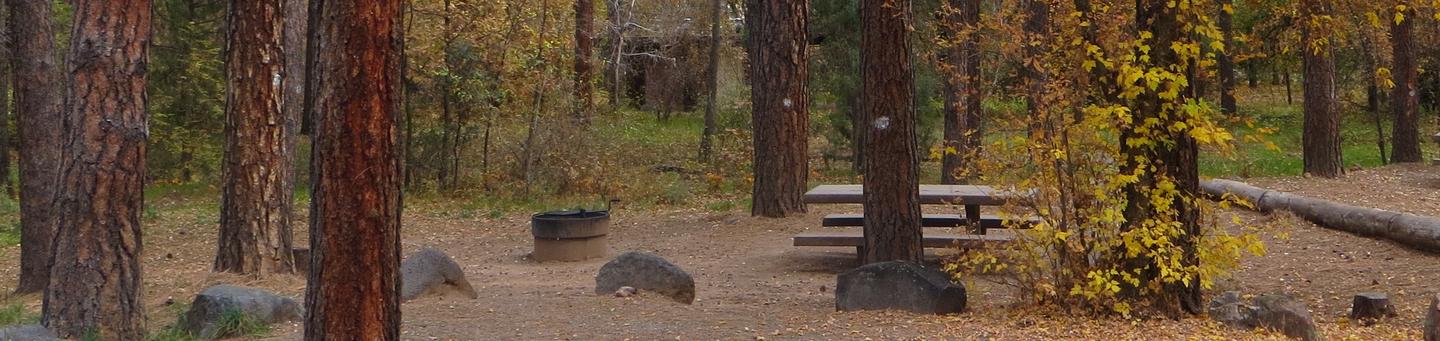 Cave Spring Campground Site #A05 featuring picnic table and fire pit among the trees.