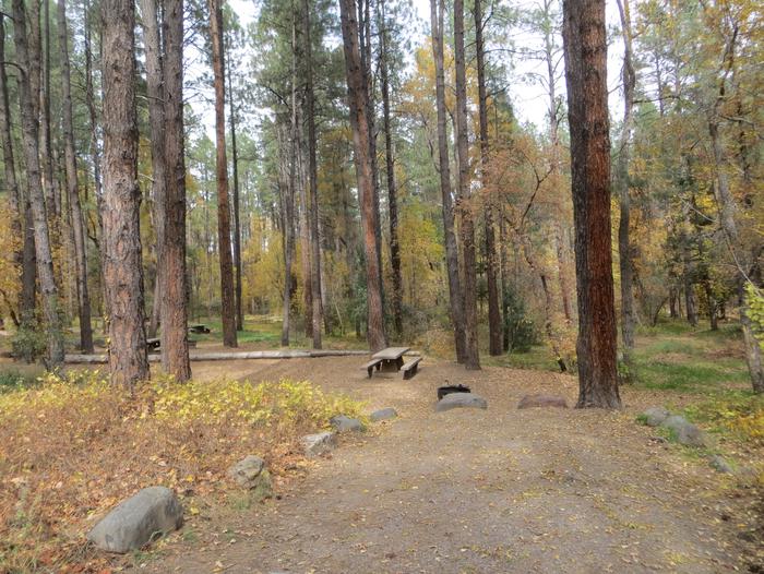 Cave Spring Campground Site #A06 featuring picnic table and fire pit among the trees.