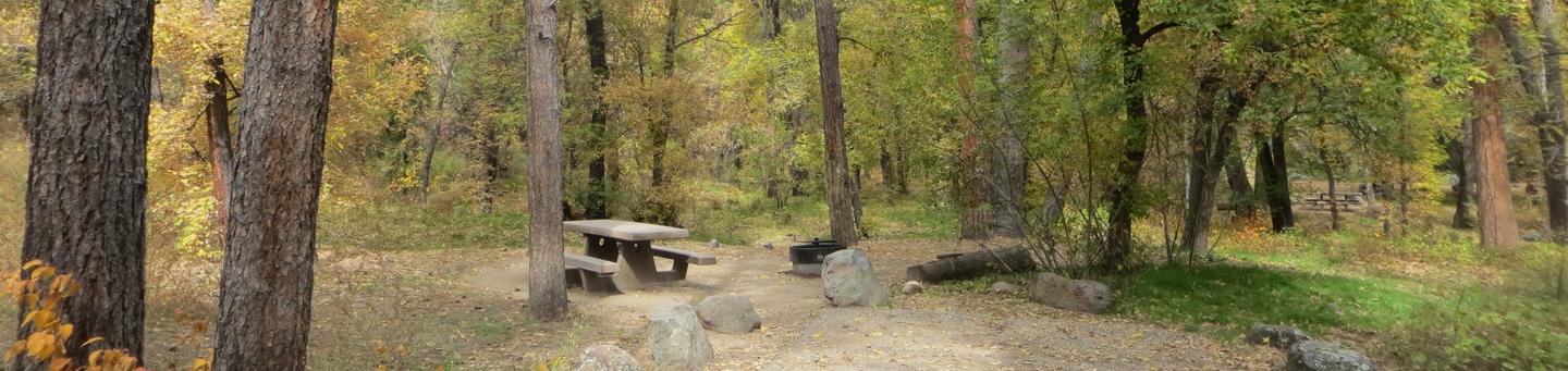 Cave Spring Campground Site #A07 featuring picnic table and fire pit among the trees.