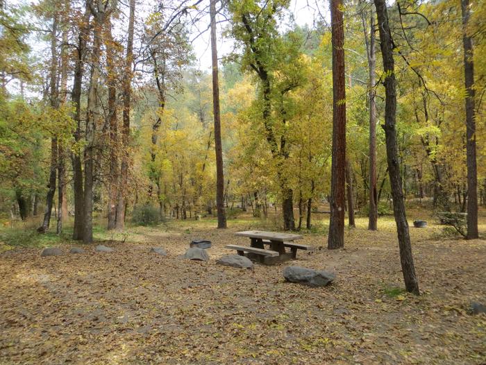 Cave Spring Campground Site #A08 featuring picnic table and fire pit among the trees.