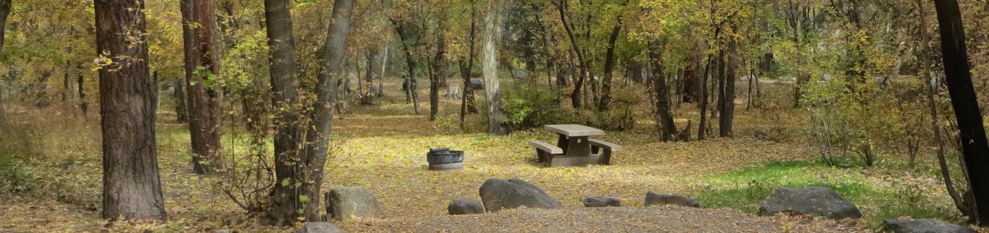 Cave Spring Campground Site #A09 featuring picnic table and fire pit among the trees.