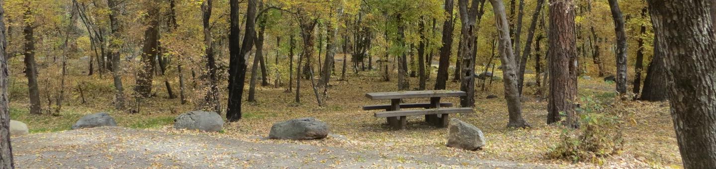 Cave Spring Campground Site #A10 featuring picnic table and fire pit among the trees.