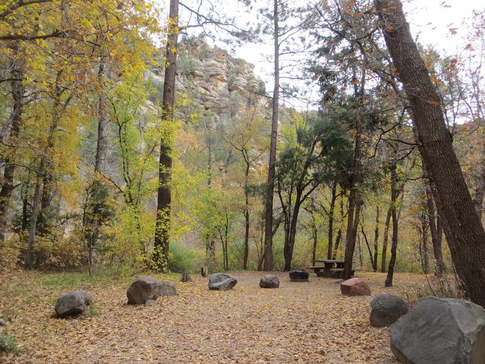 Cave Spring Campground Site #A11 featuring picnic table and fire pit among the trees.
