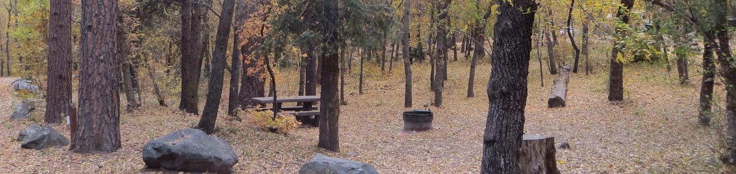 Cave Spring Campground Site #A12 featuring picnic table and fire pit among the trees.