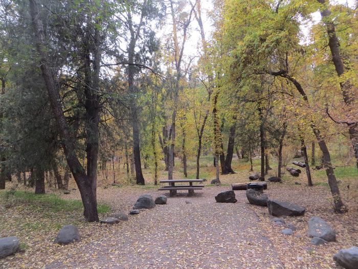 Cave Spring Campground Site #A13 featuring picnic table and fire pit among the trees.