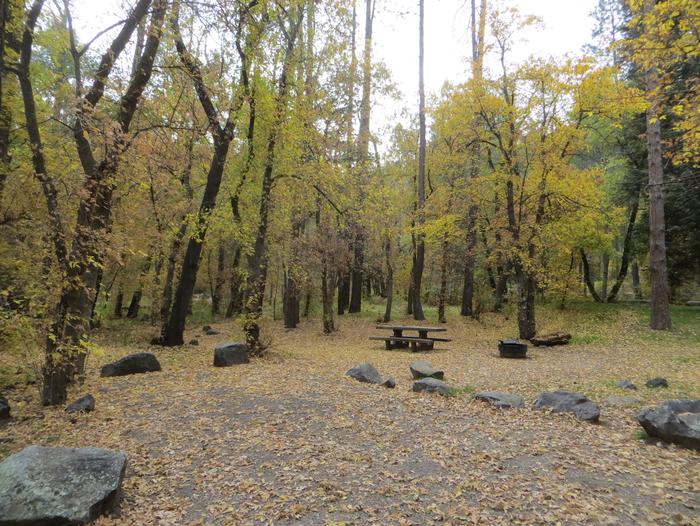 Cave Spring Campground Site #A14 featuring picnic table and fire pit among the trees.