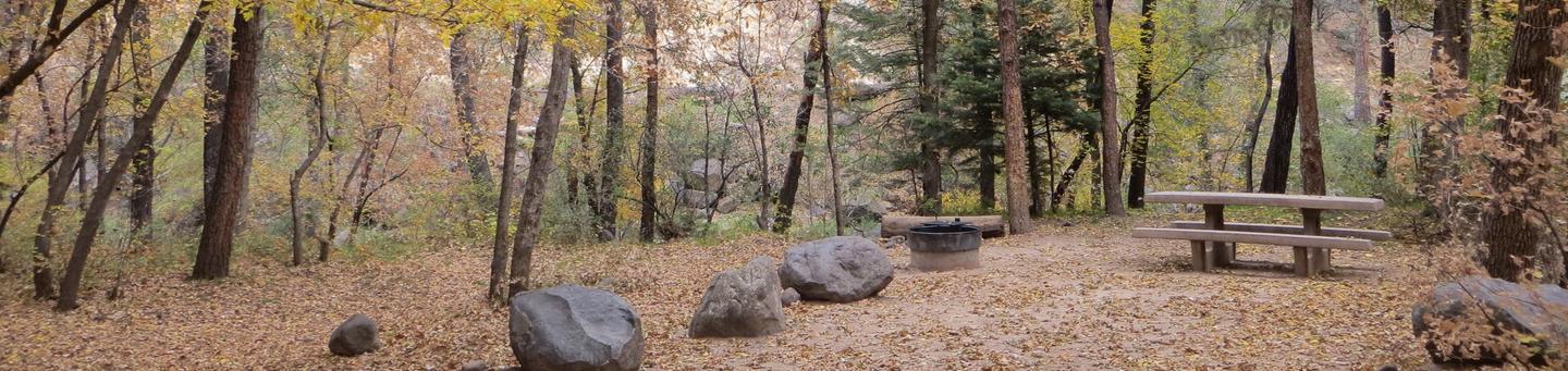 Cave Spring Campground Site #A15 featuring picnic table and fire pit among the trees.