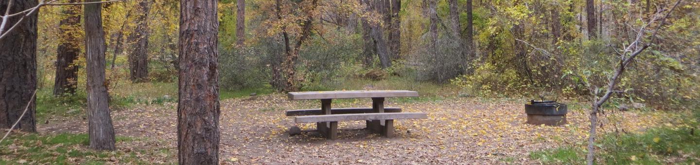 Cave Spring Campground Site #A16 featuring picnic table and fire pit among the trees.