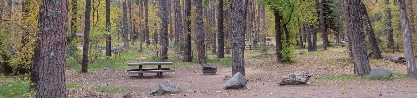 Cave Spring Campground Site #A17 featuring picnic table and fire pit among the trees.