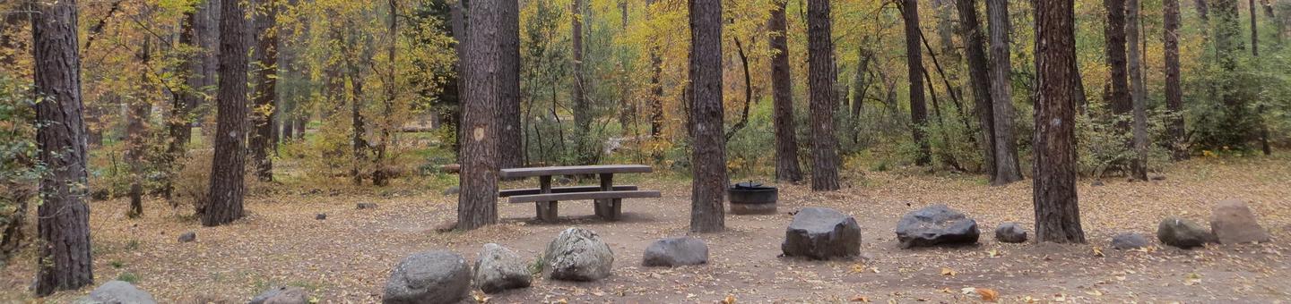 Cave Spring Campground Site #A18 featuring picnic table and fire pit among the trees.