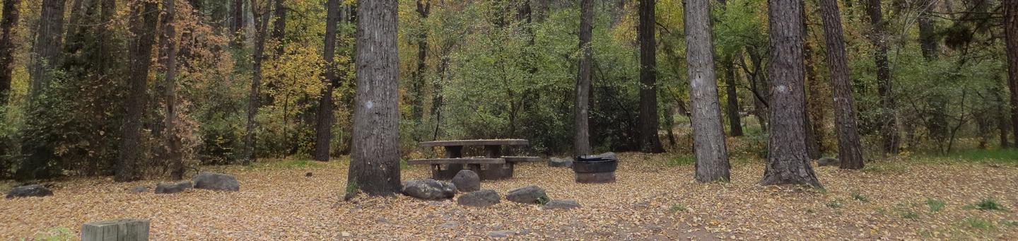 Cave Spring Campground Site #A19 featuring picnic table and fire pit among the trees.
