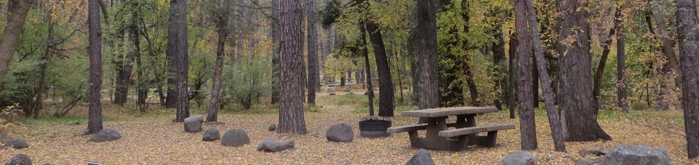 Cave Spring Campground Site #A20 featuring picnic table and fire pit among the trees.