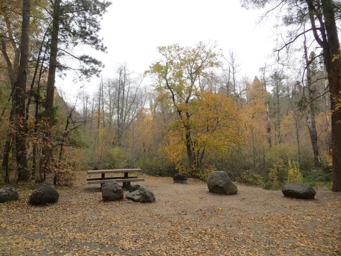 Cave Spring Campground Site #A21 featuring picnic table and fire pit among the trees.