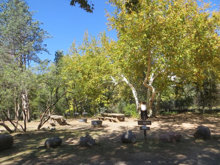 Group Site #3 at Chavez Crossing Campground featuring shaded trees and picnic and camping space.