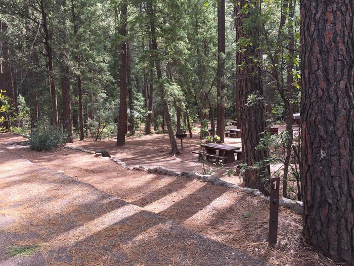 Christopher Creek Campground Site #1 featuring entrance to the wooded site, picnic table, and fire pit. 