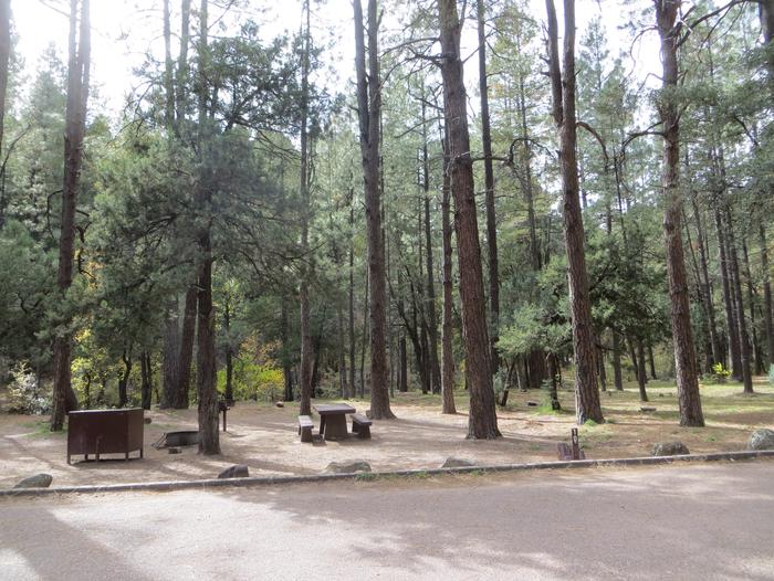 Christopher Creek Campground Site #10 featuring picnic table, food storage, and fire pit among the trees.
