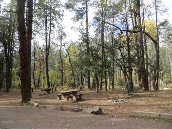 Christopher Creek Campground Site #25 featuring entrance to the wooded site and camping space.
