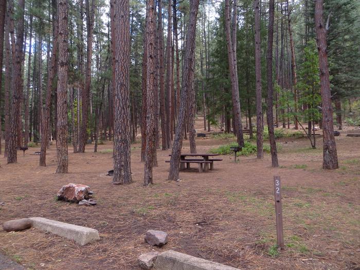 Christopher Creek Campground Site #32 featuring entrance to the wooded site and camping space.