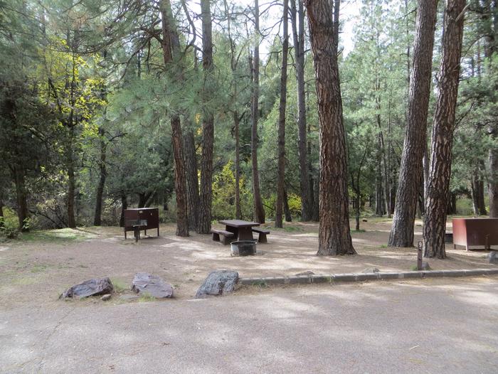 Christopher Creek Campground Site #9 featuring entrance to the wooded site and camping space.