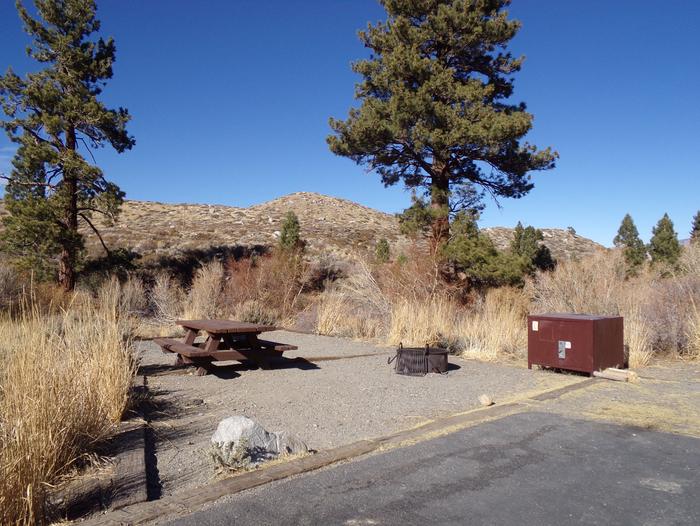 Convict Lake Campground site #58 featuring picnic table, food storage, and fire pit.