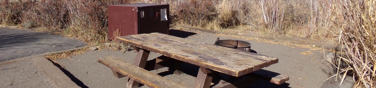 Convict Lake Campground site #65 featuring picnic table, food storage, and fire pit.