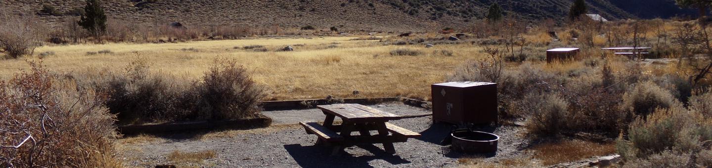 Convict Lake Campground site #76 featuring picnic table, food storage, and fire pit.