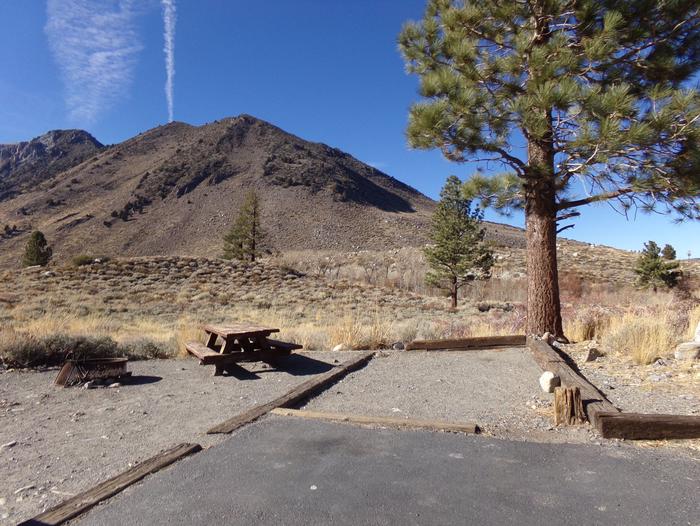 Convict Lake Campground site #81 featuring picnic table, food storage, and fire pit.