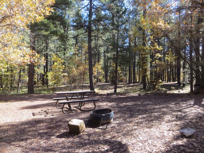 Site 5 with a campfire ring, picnic table, and parking.