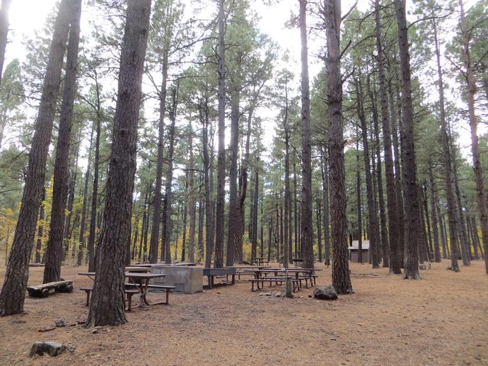 Dairy Springs Campground group site A featuring the wooded camping areas along with picnic tables and fire pits.Dairy Springs Campground group site A featuring the wooded camping areas along with picnic tables and fire pits. Shared restroom building for groups sites A and B. 