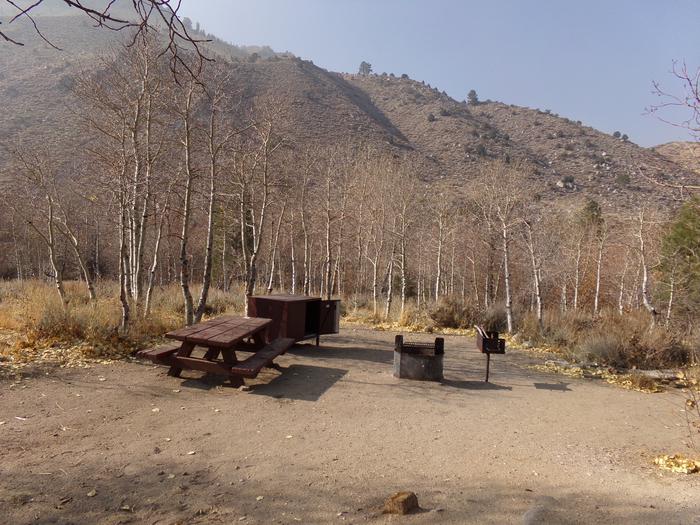 Additional view of campsite #02 with camping and picnic area that is creekside with mountain views.