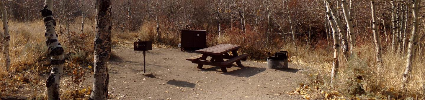 Four Jeffery Campground site #07 featuring picnic table, food storage, and fire pit.