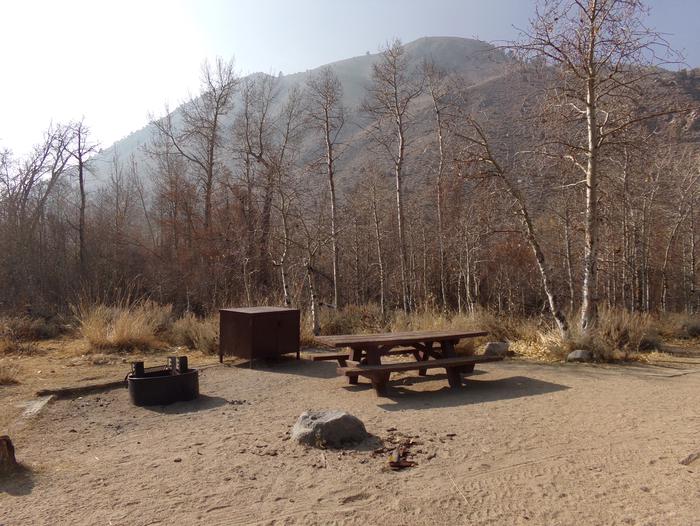 Four Jeffery Campground site #08 featuring picnic table, food storage, and fire pit.