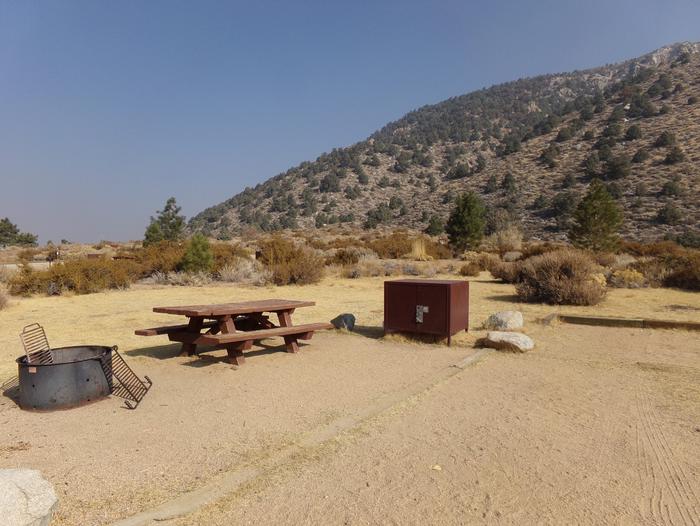 Four Jeffery Campground site #09 featuring picnic table, food storage, and fire pit.